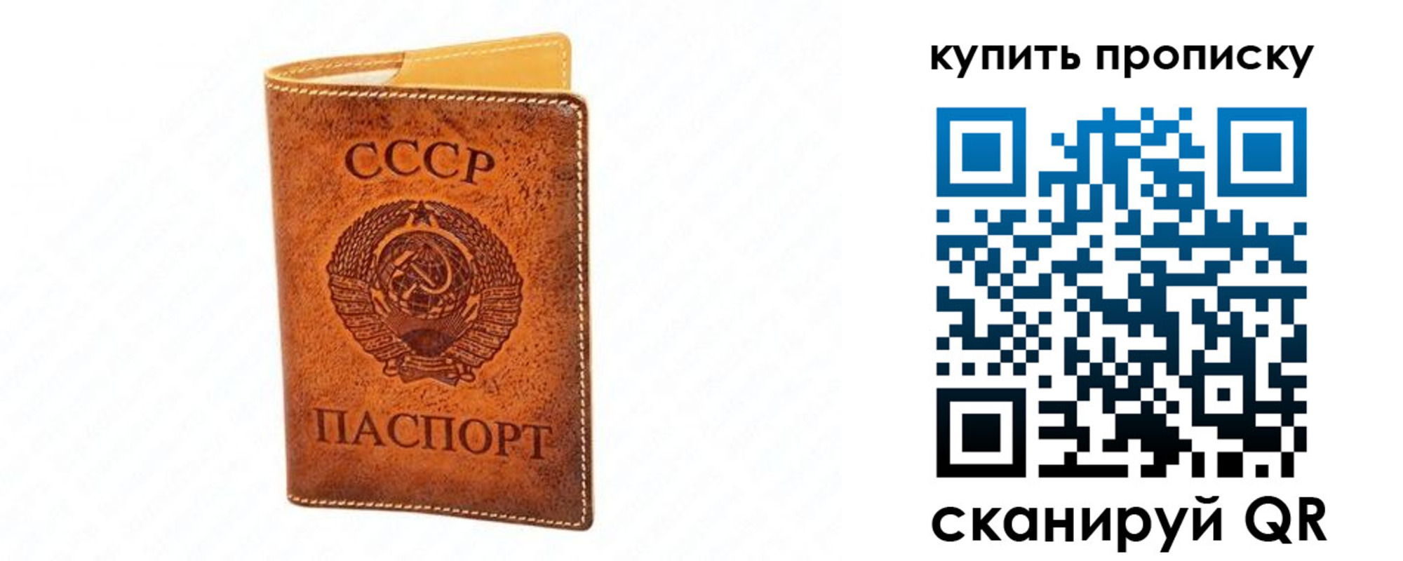 прописка поиск в Кохме