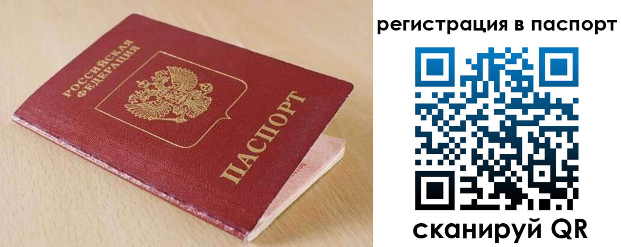 прописка поиск в Кохме