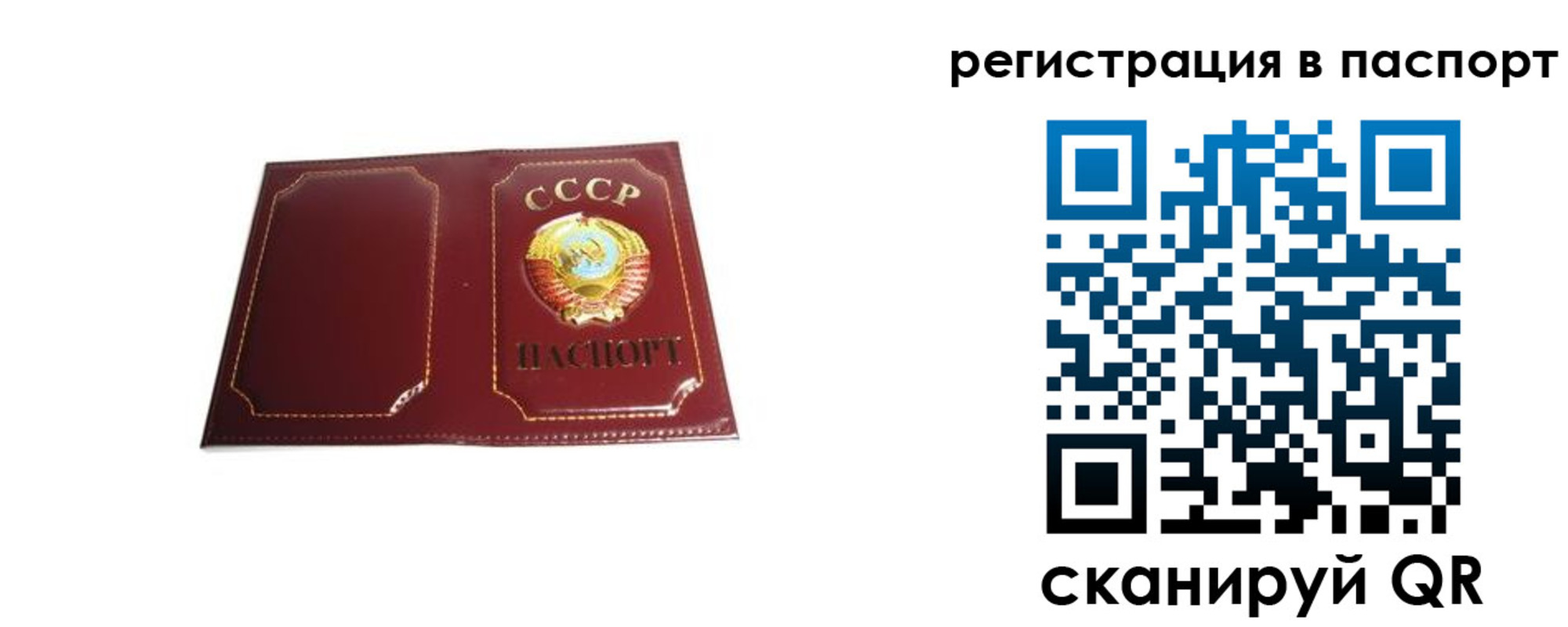 прописка 2025 в Кохме
